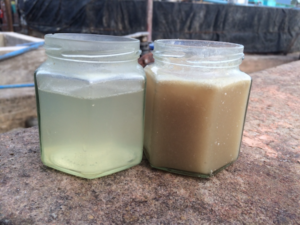 Rendering effluent